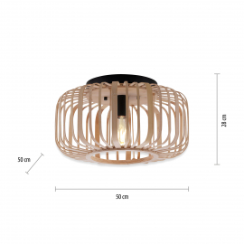 Lampa sufitowa RACOON 11413-79