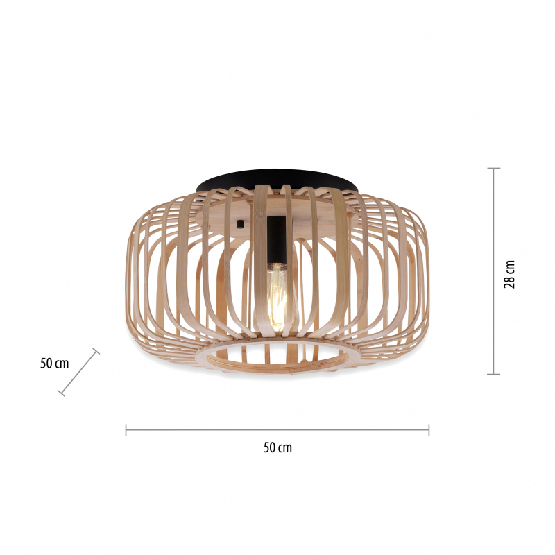 Lampa sufitowa RACOON 11413-79