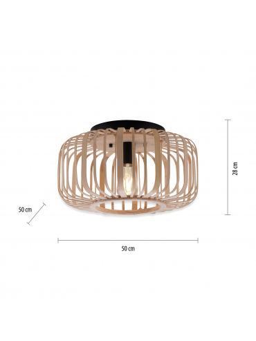Lampa sufitowa RACOON 11413-79