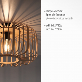 Lampa sufitowa RACOON 11413-79
