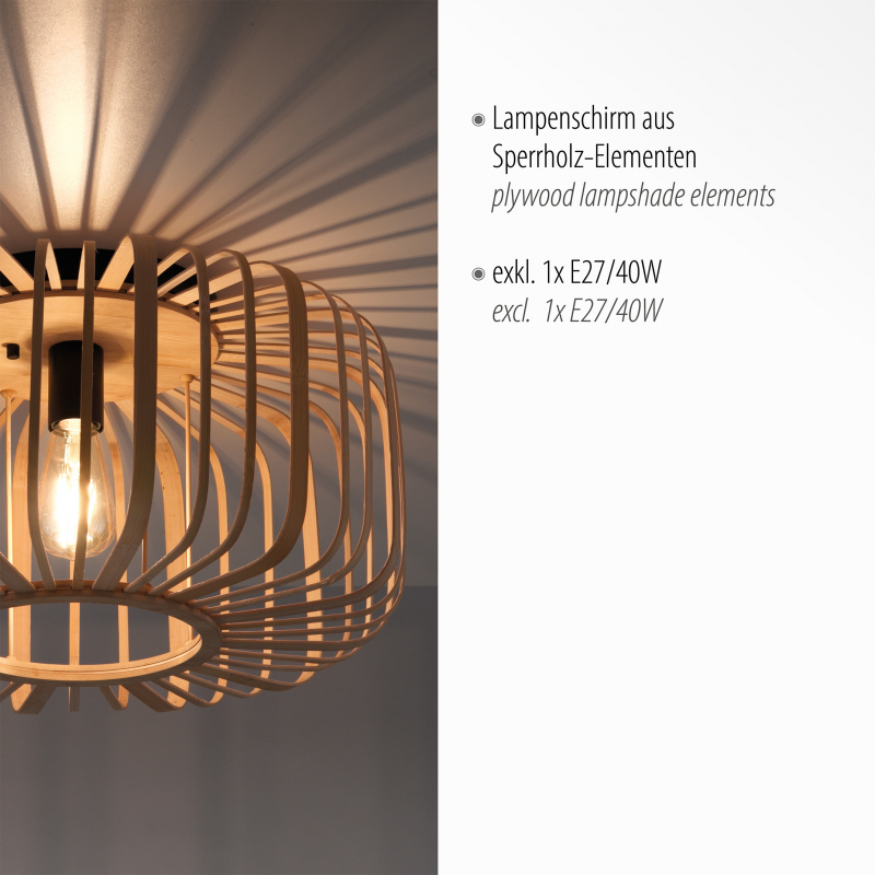 Lampa sufitowa RACOON 11413-79