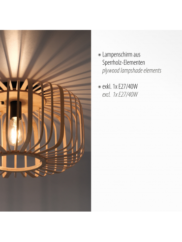 Lampa sufitowa RACOON 11413-79