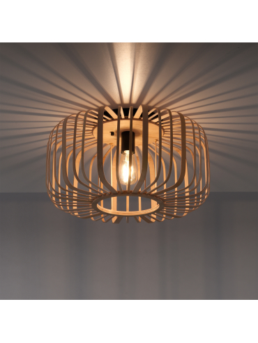 Lampa sufitowa RACOON 11413-79