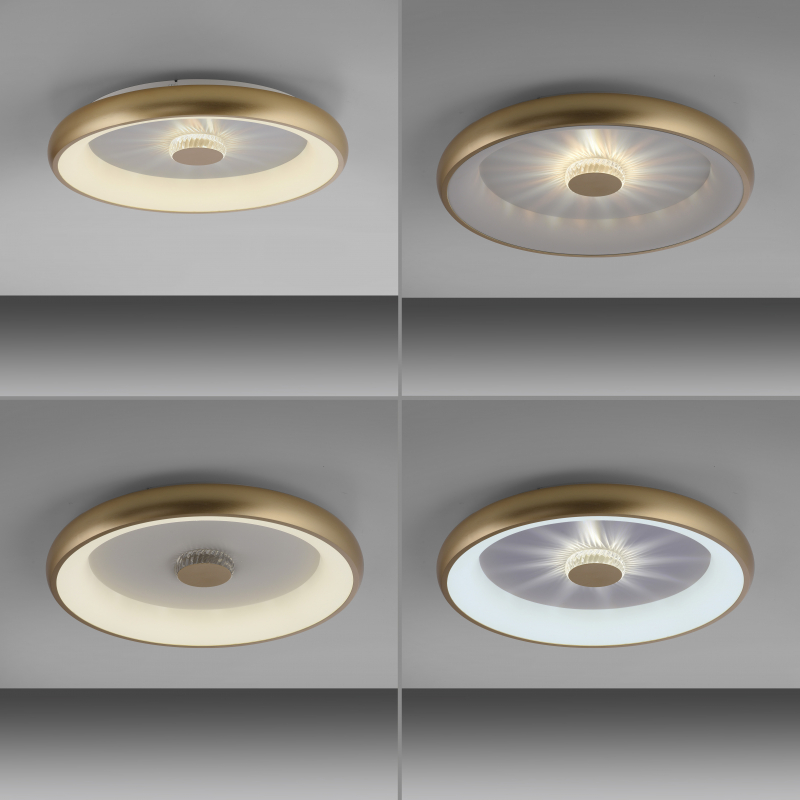 Lampa sufitowa VERTIGO LED CCT PILOT 14386-60
