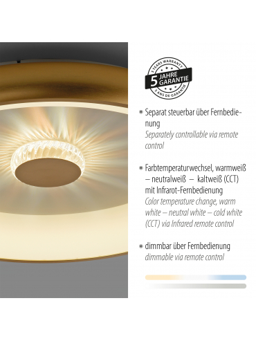 Lampa sufitowa VERTIGO 14386-60