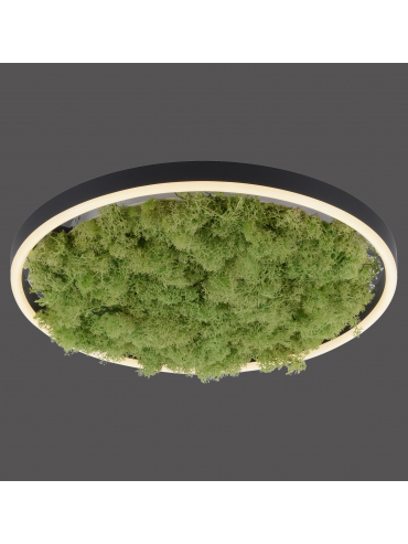 Lampa sufitowa GREEN RITUS 15391-66