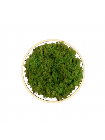 Lampa sufitowa GREEN RITUS 15391-66