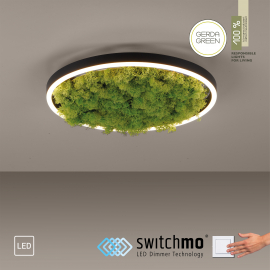 Lampa sufitowa GREEN RITUS 15391-66