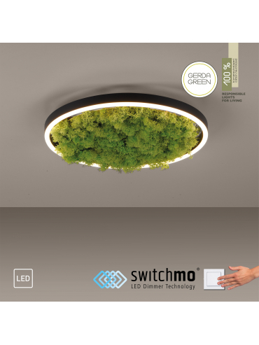 Lampa sufitowa GREEN RITUS 15391-66