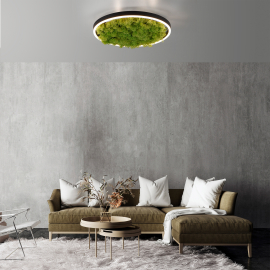 Lampa sufitowa GREEN RITUS 15391-66