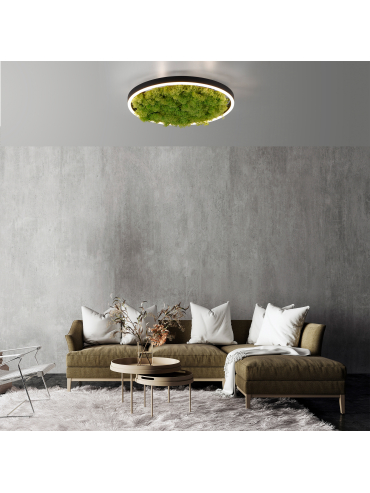 Lampa sufitowa GREEN RITUS 15391-66