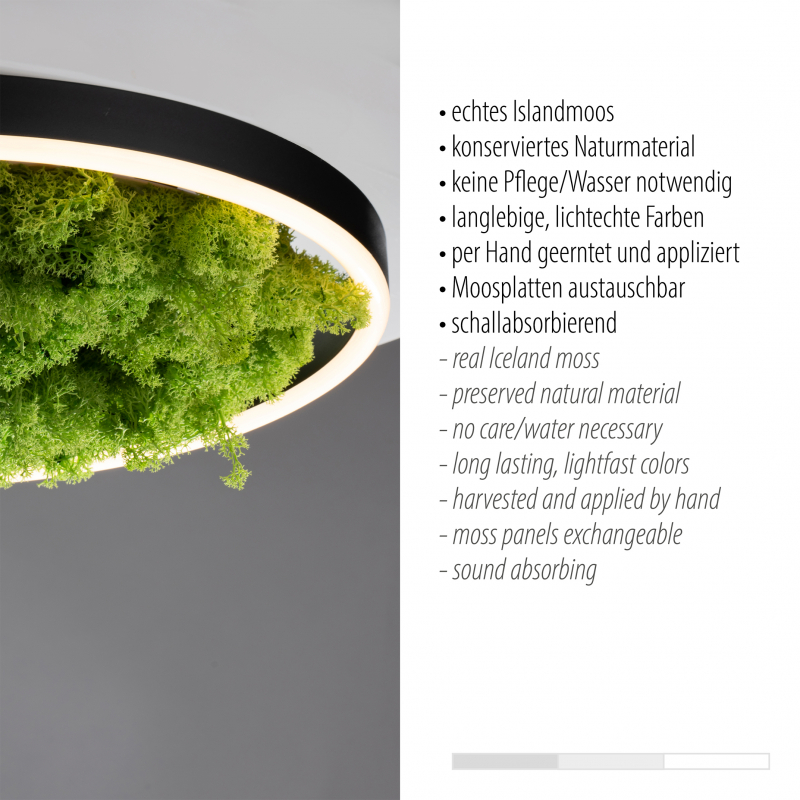 Lampa sufitowa GREEN RITUS 15391-66