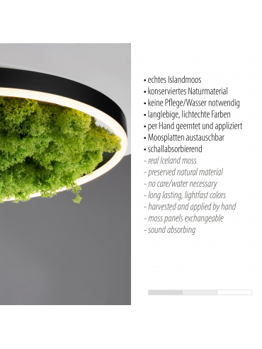 Lampa sufitowa GREEN RITUS 15391-66