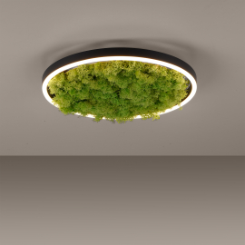 Lampa sufitowa GREEN RITUS 15391-66