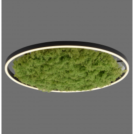Lampa sufitowa GREEN RITUS 15392-66