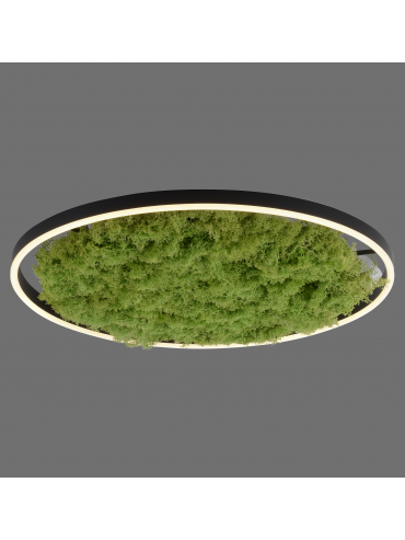 Lampa sufitowa GREEN RITUS 15392-66