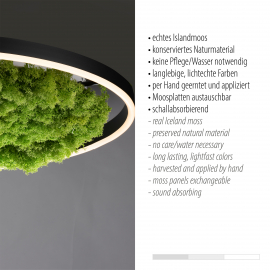 Lampa sufitowa GREEN RITUS 15392-66