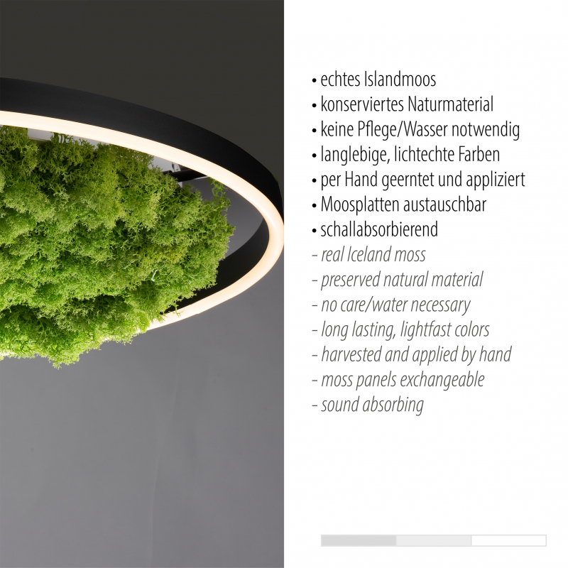 Lampa sufitowa GREEN RITUS 15392-66