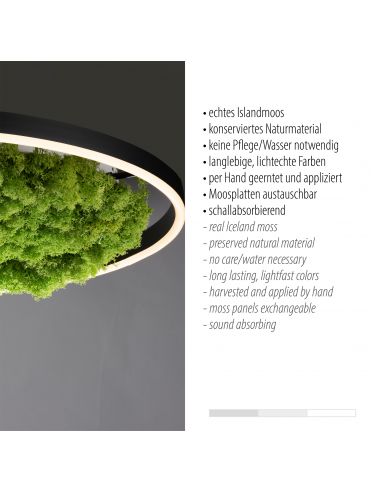 Lampa sufitowa GREEN RITUS 15392-66