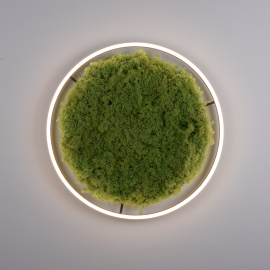 Lampa sufitowa GREEN RITUS 15392-66