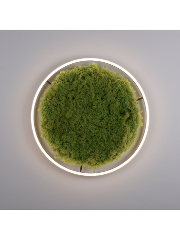 Lampa sufitowa GREEN RITUS 15392-66
