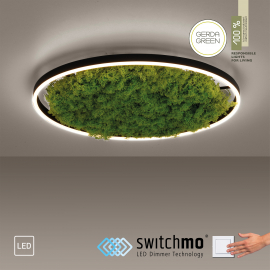 Lampa sufitowa GREEN RITUS 15392-66