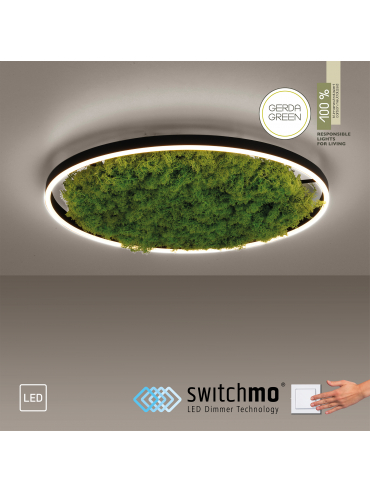 Lampa sufitowa GREEN RITUS 15392-66