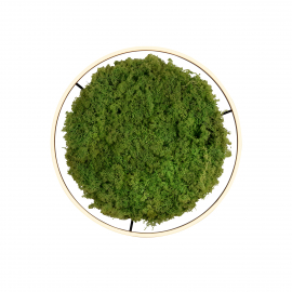 Lampa sufitowa GREEN RITUS 15392-66