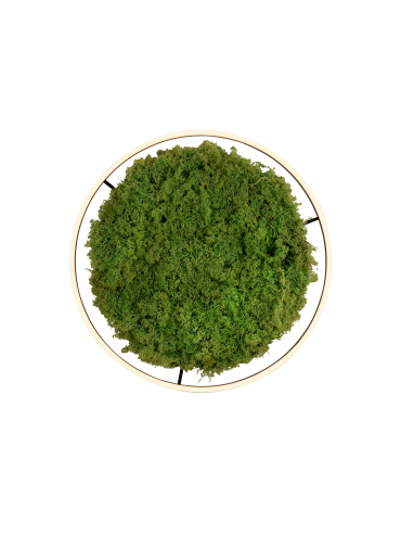 Lampa sufitowa GREEN RITUS 15392-66