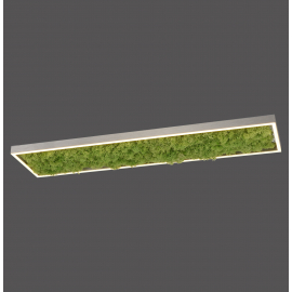 Lampa sufitowa GREEN KNUT 15623-66