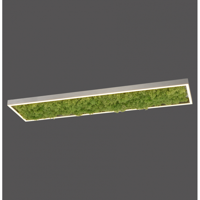 Lampa sufitowa GREEN KNUT 15623-66