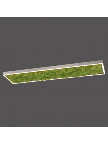 Lampa sufitowa GREEN KNUT 15623-66