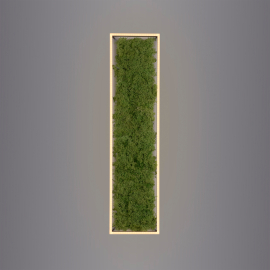Lampa sufitowa GREEN KNUT 15623-66