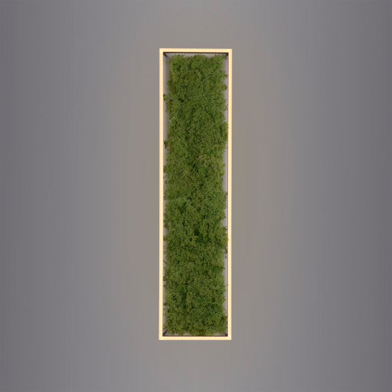 Lampa sufitowa GREEN KNUT 15623-66