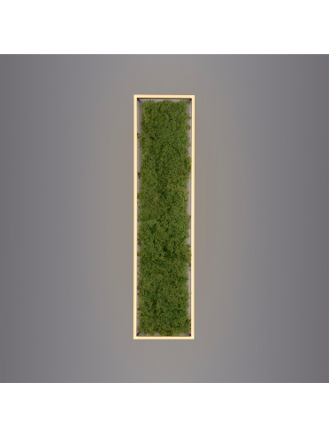 Lampa sufitowa GREEN KNUT 15623-66