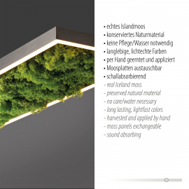 Lampa sufitowa GREEN KNUT 15623-66