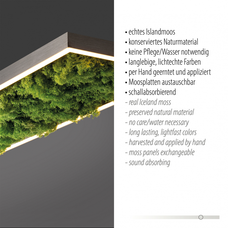 Lampa sufitowa GREEN KNUT 15623-66