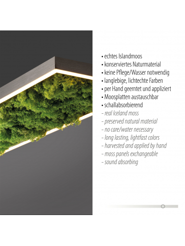 Lampa sufitowa GREEN KNUT 15623-66