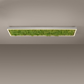 Lampa sufitowa GREEN KNUT 15623-66