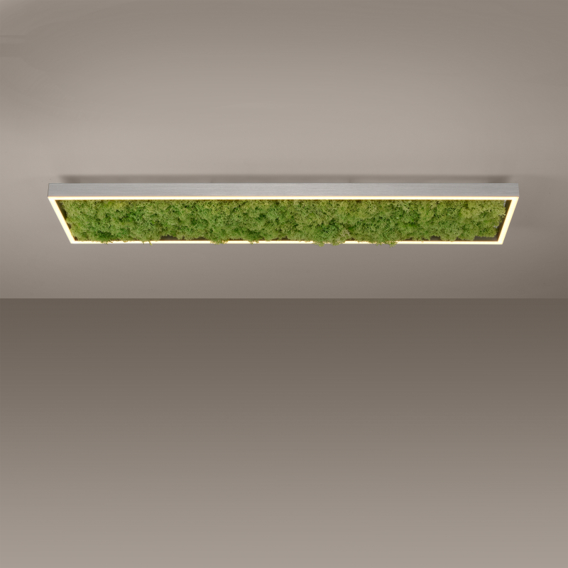 Lampa sufitowa GREEN KNUT 15623-66