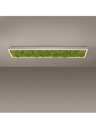 Lampa sufitowa GREEN KNUT 15623-66