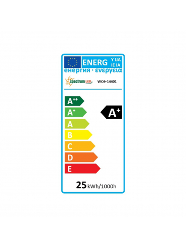 PASEK LED 22W/5m 60LED/1m 1M(ROLKA 5M) BEZ OSŁONY WOJ+14401