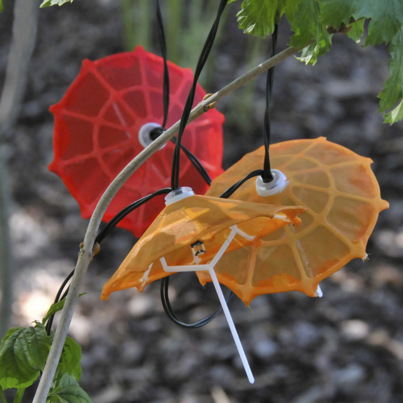 Girlanda solarna PARASOLKI 311559
