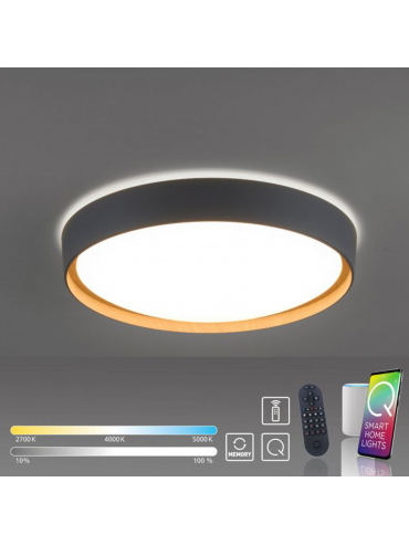 Lampa sufitowa Q-EMILIA 6118-15