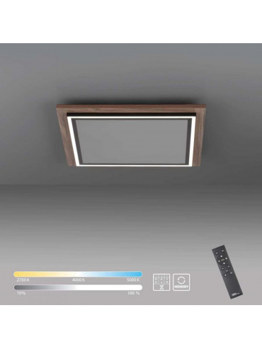 Lampa sufitowa PALMA 6141-79