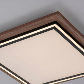 Lampa sufitowa PALMA 6141-79