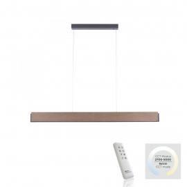 Lampa wisząca PALMA 2465-79