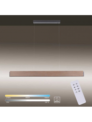 Lampa wisząca PALMA 2465-79