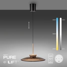 Lampa wisząca PURE E-MOON 2195-97