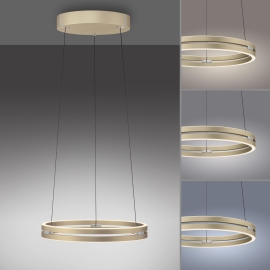 Lampa wisząca PURE E-LOOP 2550-60
